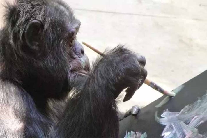 Bubbles, o chimpanzé do Michael Jackson 