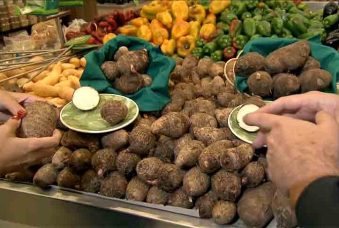 Inhame e cará não são a mesma coisa: entenda as diferenças entre os tubérculos