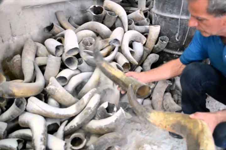 Feito geralmente de chifre de boi, o instrumento é moldado artesanalmente. O tamanho influencia o timbre e a potência do som emitido.