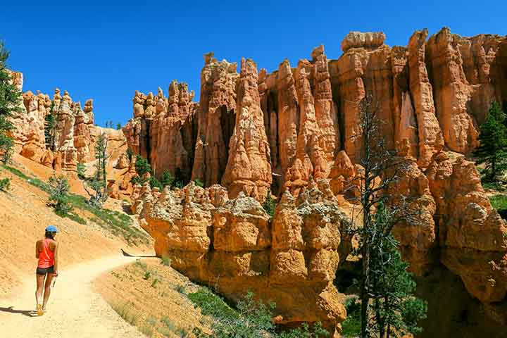 Os hoodoos são colunas finas e altas de rocha, esculpidas pela erosão ao longo de eras. Cada torre é resultado da interação entre vento, água e gelo sobre o calcário macio. O conjunto cria uma paisagem surreal, como se fosse uma cidade de esculturas naturais que desafia a imaginação.