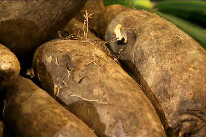 Do ponto de vista nutricional, ambos são fontes relevantes de carboidratos, fibras, vitaminas e minerais, mas apresentam diferenças em composição. O inhame é frequentemente associado a propriedades antioxidantes e ao fortalecimento do sistema imunológico, sendo rico em vitamina C e compostos fenólicos. O cará, por sua vez, também é nutritivo, destacando-se pelo teor energético e pela presença de vitaminas do complexo B, além de minerais como potássio e magnésio.

