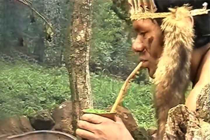 O chimarrão tem raízes indígenas, especialmente entre os povos guaranis, que já utilizavam a erva-mate em rituais e no dia a dia. Com a colonização, o costume se espalhou e ganhou novas formas de preparo. A presença dos jesuítas foi decisiva, pois adaptaram o consumo e ajudaram a consolidar a cultura contemporânea.
