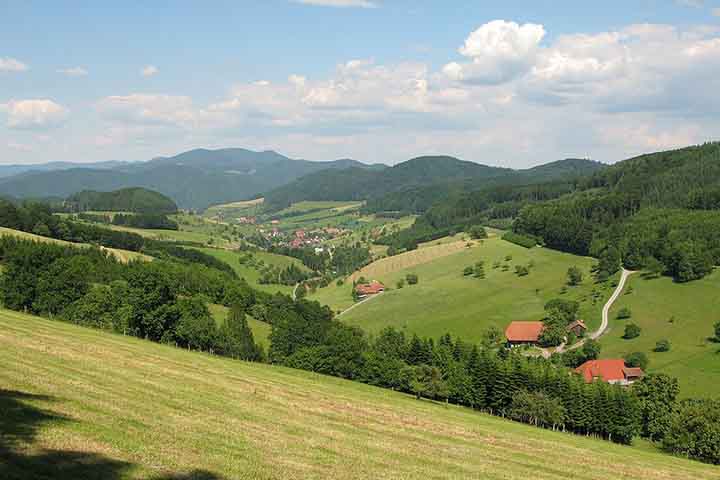 A Floresta Negra ocupa cerca de 6 mil quilômetros quadrados no sudoeste da Alemanha. Suas montanhas chegam a 1.493 metros no Feldberg, o ponto mais alto da região. Essa geografia variada combina vales férteis, rios e lagos que sustentam comunidades locais.