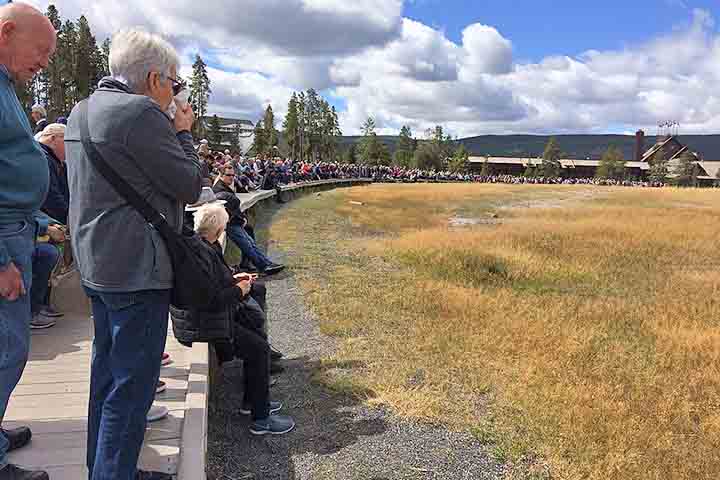 Situado na Bacia Superior de Gêiseres, no sudoeste de Yellowstone, ele é o mais acessível dos gêiseres. Sua área de observação é a mais preparada do parque. Conta com passarelas seguras, além de bancos, amplo estacionamento e um centro de visitantes moderno que monitora altura, duração e intervalos das erupções, permitindo previsões quase exatas e oferecendo informações científicas e educativas. 
