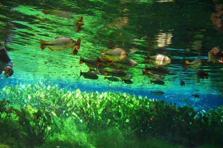 Bonito (MS), destino do ecoturismo