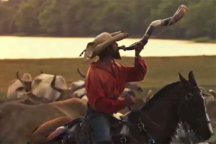 Muito antes do rádio ou do celular, o berrante era essencial para a comunicação rural. Ele orientava a boiada durante longas viagens por estradas de terra.