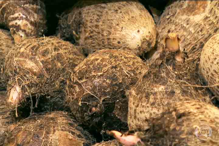 A casca pode ser lisa ou rugosa em ambos os casos, dependendo da espécie, e a distinção mais perceptível costuma aparecer após o preparo: o inhame geralmente apresenta textura mais úmida e cremosa, enquanto o cará tende a ser mais firme e menos viscoso.
