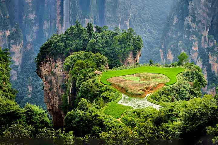 Fundado em 1982, foi o primeiro parque nacional da China. Com mais de 3 mil pilares de pedra, rios cristalinos e cachoeiras, é considerado Patrimônio Mundial da UNESCO. A diversidade ecológica impressiona, com espécies raras de plantas e animais que reforçam seu valor ambiental.