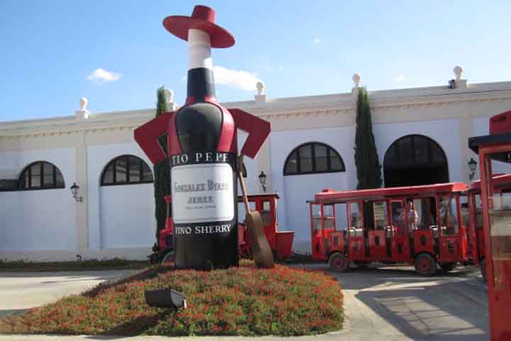 . A Andaluzia é também um polo turístico e econômico, com destaque para o azeite de oliva e os vinhos de Jerez. A região é símbolo de orgulho espanhol e de vocação universal. Essa galeria vai te conduzir por tudo o que é essencial para entender e se apaixonar pela Andaluzia. 