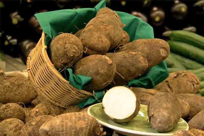 Qual a diferença do inhame para o cará?