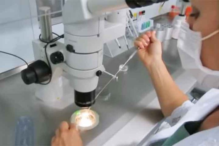 Fertilização in vitro