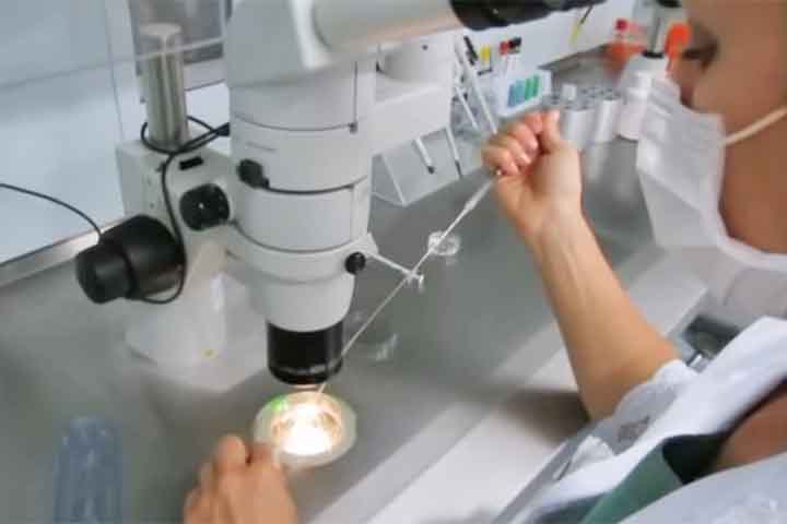 Uma das conquistas mais representativas da medicina reprodutiva, a fertilização in vitro (FIV) é resultado de décadas de pesquisas científicas voltadas para o tratamento da infertilidade.
