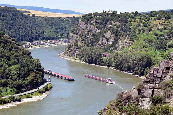 Com 1.233 quilômetros de comprimento, o rio é navegável em 883 quilômetros entre Basileia e o Mar do Norte. Sua navegabilidade em grande parte do curso transformou-o em uma das principais hidrovias da Europa. Essa característica garante o transporte de mercadorias e pessoas, reforçando sua relevância econômica e cultural.
