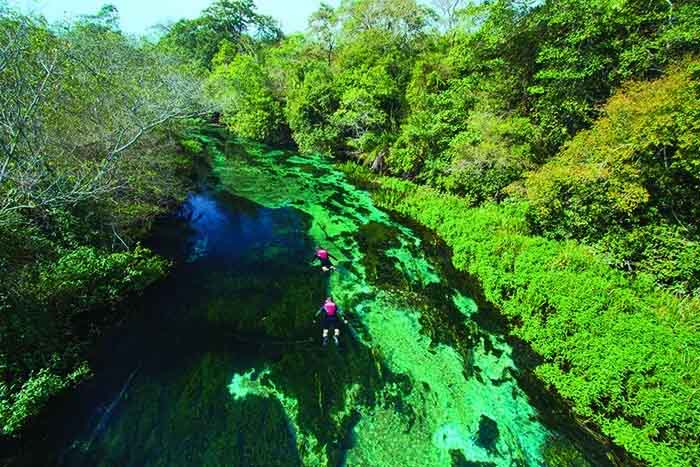 Já o Rio Sucuri é considerado um dos rios mais cristalinos do mundo, graças à pureza de suas águas e ao solo calcário da região. A flutuação também permite ao visitante deslizar suavemente pela correnteza enquanto observa peixes e plantas aquáticas com impressionante nitidez.
