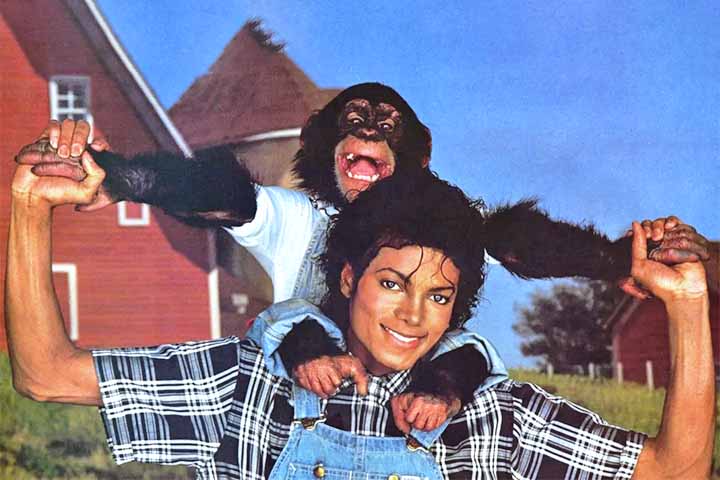 Nascido em 1983, em uma instalação de pesquisa no estado americano do Texas, Bubbles foi adotado ainda filhote por Michael Jackson e levado para viver inicialmente na casa de Encino, na Califórnia, antes de se tornar uma figura emblemática do rancho Neverland, famosa e luxuosa residência do cantor. Sua rotina era incomum: ele dividia espaços privados da casa, acompanhava refeições, frequentava a área do cinema particular da propriedade e era tratado com um nível de cuidado e atenção raramente vi