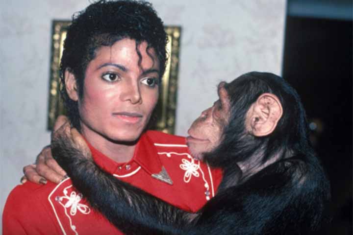 Michael Jackson, o “Rei do Pop”, morto em 2009, teve um animal de estimação que marcou profundamente sua vida e que o acompanhou ao longo dos anos de maior fama. Trata-se de Bubbles, um chimpanzé que extrapolou a condição de pet para se tornar uma presença constante no cotidiano do astro, participando de viagens, compromissos profissionais e momentos íntimos. Bubbles ocupou um papel afetivo importante, funcionando como companhia em meio a uma rotina solitária e altamente controlada. Ao mesmo tem -  (crédito: Reprodução do Instagram  @michaeljackson)