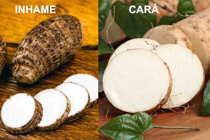 O inhame está associado, em geral, a espécies do gênero Colocasia, como a Colocasia esculenta, também conhecida como taro em outros países. Já o cará pertence ao gênero Dioscorea, que reúne diversas espécies cultivadas principalmente em regiões tropicais. Essa distinção científica é fundamental, pois define não apenas a aparência, mas também a forma de cultivo e as propriedades de cada alimento.
