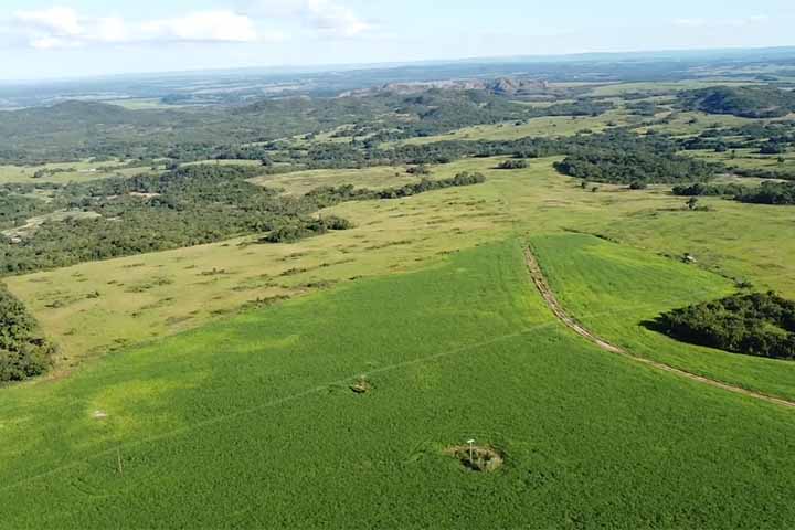 Além de sua importância estrutural, o Domo de Araguainha também chama atenção por sua complexidade geológica. O impacto afetou tanto rochas sedimentares da Bacia do Paraná quanto o embasamento cristalino mais profundo, expondo granitos no núcleo central e reorganizando camadas que originalmente estavam em posições muito diferentes. 
