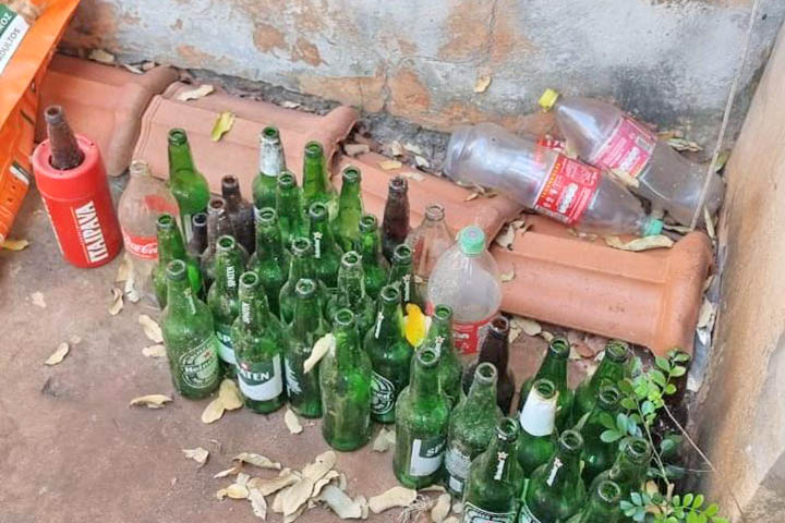 As variáveis ambientais desempenham papel decisivo nesse processo. A umidade relativa do ar elevada favorece tanto a sobrevivência dos ovos quanto a atividade dos adultos, reduzindo a desidratação dos insetos. Já a pressão atmosférica influencia o comportamento dos mosquitos, que tendem a se tornar mais ativos antes de mudanças climáticas, como a aproximação de chuvas. Essas condições combinadas criam um cenário propício para aumento populacional em curto espaço de tempo.
