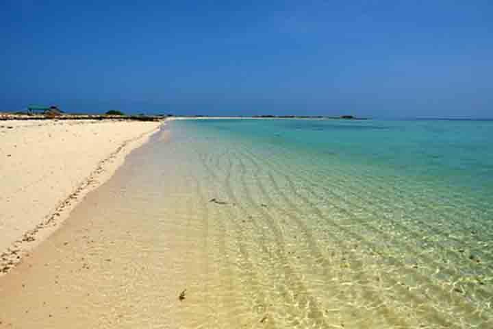 Do ponto de vista geográfico e ambiental, o Arquipélago Dahlak chama atenção pela biodiversidade marinha. Cercadas por recifes de coral, as ilhas abrigam uma grande variedade de espécies, incluindo golfinhos, tubarões, tartarugas e dugongos, além de numerosas aves marinhas. 
