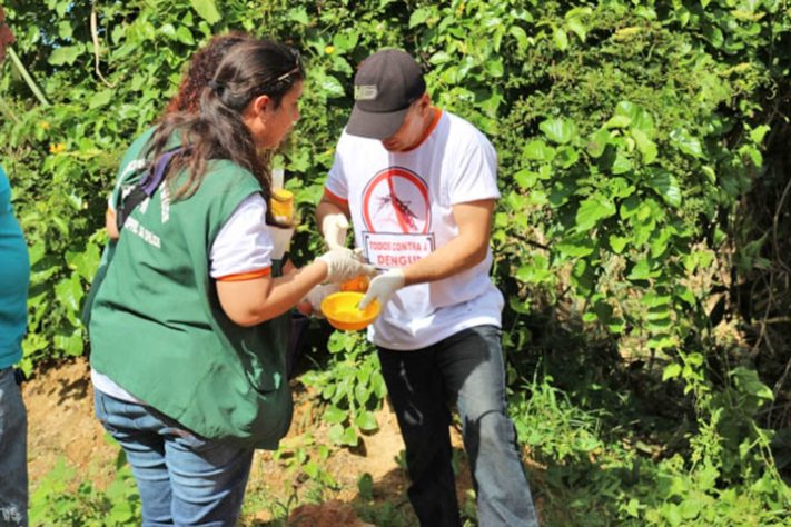 Infestação de mosquitos em casa