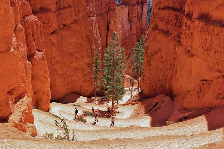 Trilhas como Navajo Loop, Queen’s Garden e Fairyland Loop levam os visitantes ao coração dos anfiteatros. Caminhar entre os hoodoos é como explorar uma catedral natural de pedra. Cada curva revela novas perspectivas e detalhes surpreendentes que encantam os caminhantes.