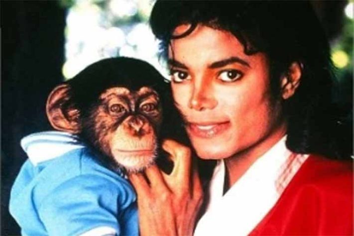 Bubbles, o chimpanzé do Michael Jackson 