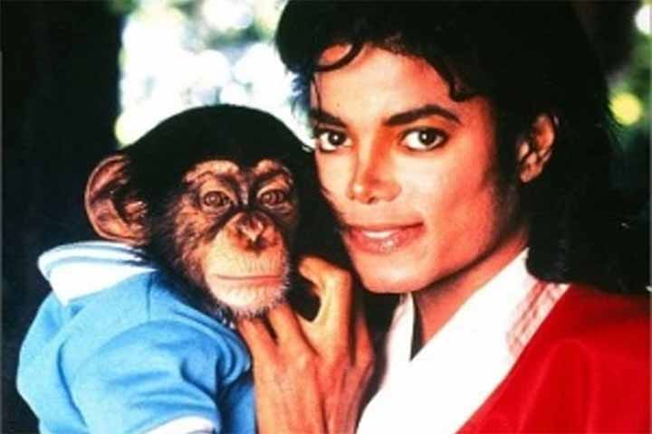 Bubbles, como está o chimpanzé do Michael Jackson? - Reprodução do Instagram @michaeljackson