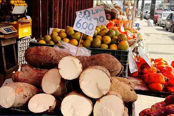 Por fim, a distinção entre inhame e cará vai além da cozinha e reflete aspectos culturais e regionais. Em estados do Nordeste, por exemplo, o termo “inhame” pode ser usado para designar o que outras regiões chamam de cará. Essa variação linguística contribui para o equívoco, mas não altera o fato de que são alimentos diferentes.