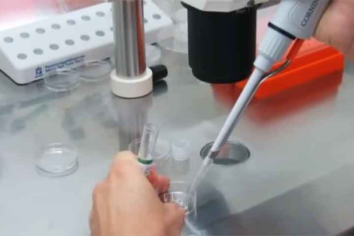 Fertilização in vitro