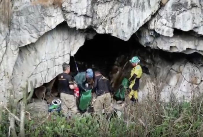 Caverna encontrada em Alagoas com mais de 21 mil morcegos - Reprodução