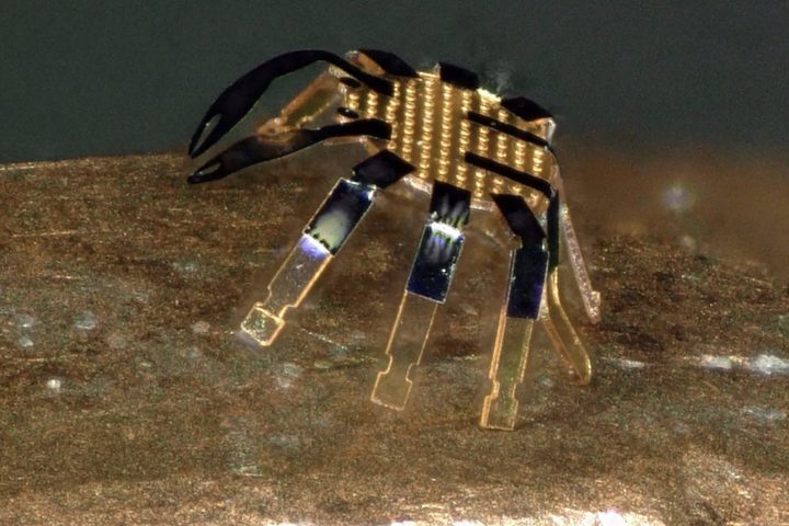 Tal procedimento permite produzir grandes quantidades de unidades com alto grau de precisão e repetibilidade, característica essencial para que a tecnologia avance do laboratório para aplicações práticas em larga escala. A possibilidade de fabricação seriada representa um dos fatores mais promissores desse avanço científico.