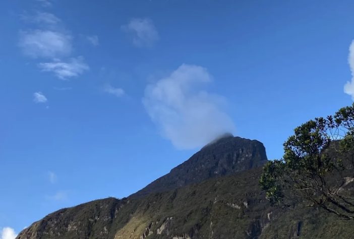 Pico da Neblina - Divulgação/Vanessa Marino