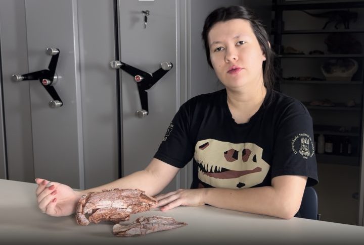 Além disso, fósseis de rincossauros têm grande importância científica como marcadores cronológicos naturais, pois ajudam pesquisadores a determinar com maior precisão a idade das formações rochosas onde são encontrados. O local onde o fóssil foi descoberto integra o Geoparque Mundial da UNESCO Quarta Colônia, uma área reconhecida internacionalmente pela riqueza paleontológica e pela presença de alguns dos dinossauros mais antigos já identificados no planeta.