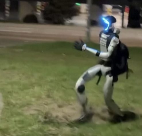 Robô humanoide viraliza ao correr atrás de javalis na Polônia - Reprodução/Redes Sociais