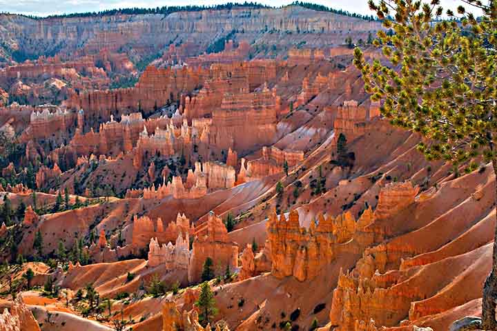 Para quem prefere contemplar sem esforço físico, mirantes como Sunrise Point e Bryce Point oferecem vistas inesquecíveis. São locais perfeitos para fotografia e para sentir a grandiosidade do parque. O pôr do sol nesses pontos é considerado mágico e inesquecível.