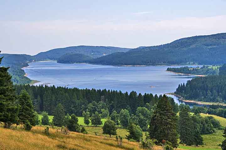 Lagos como o Titisee e o Schluchsee são pontos turísticos da Floresta Negra. Esses corpos d’água oferecem lazer e paisagens encantadoras. Rios como o Danúbio têm suas nascentes na região, reforçando sua relevância geográfica.
