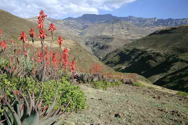 A paisagem costuma ser comparada a cenários de grandes cadeias montanhosas de outros continentes por causa de sua imponência visual. Comunidades tradicionais vivem nas proximidades do parque e mantêm práticas agrícolas adaptadas ao relevo montanhoso.
