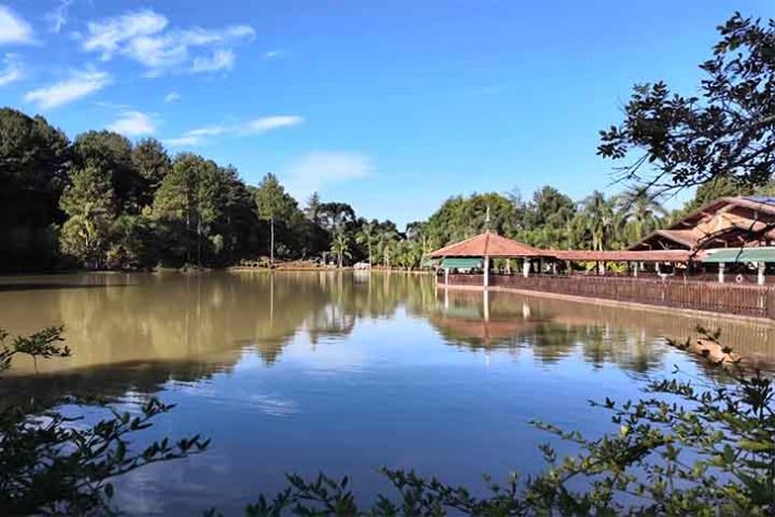 Treze Tílias, a cidade 'mais austríaca do Brasil'