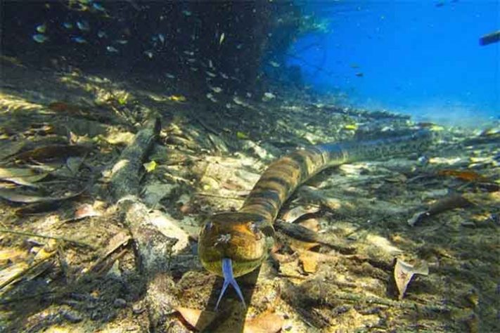 Bonito (MS), destino do ecoturismo