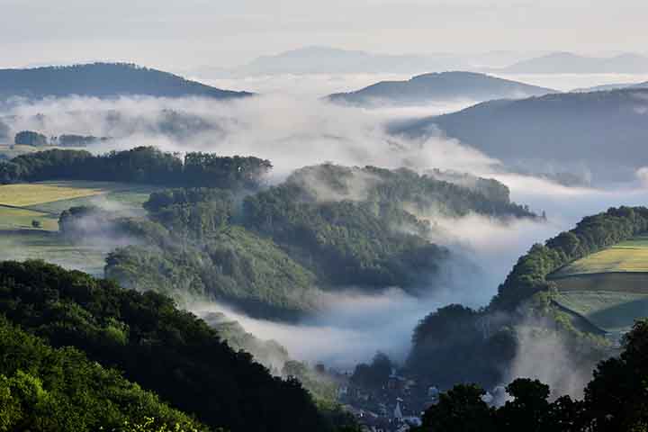 A Floresta Negra é protegida por parques naturais e reservas ambientais. Projetos de conservação garantem a preservação da biodiversidade. Essa proteção equilibra turismo e sustentabilidade, assegurando o futuro da região.