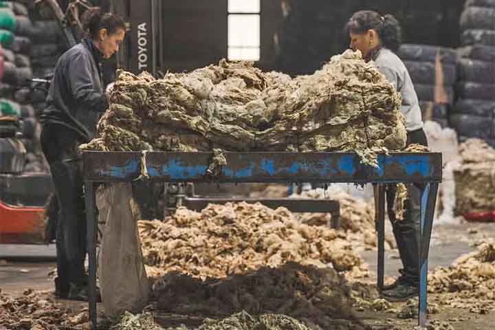 A lã é uma fibra renovável e biodegradável. Isso a coloca em destaque no debate atual sobre sustentabilidade, mostrando que tradição e consciência ambiental podem caminhar juntas.