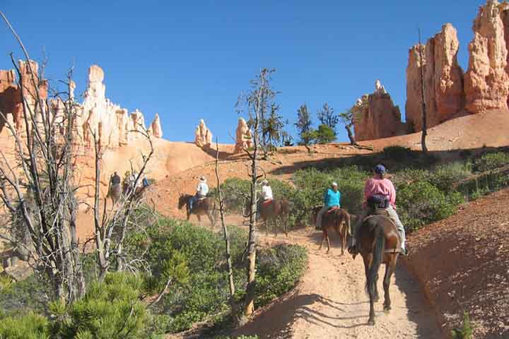 Bryce Canyon, portanto, vai além de um parque: é uma obra-prima viva da Terra. Suas torres rochosas contam histórias de mares antigos, forças tectônicas e erosão incessante. Ao partir, o visitante leva consigo a sensação de ter testemunhado um milagre geológico inesquecível.