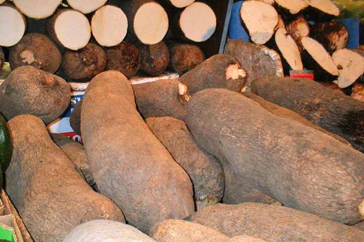 Do ponto de vista nutricional, o inhame é considerado uma excelente fonte de energia. Rico em carboidratos complexos, ele fornece liberação gradual de glicose no organismo, o que contribui para a manutenção dos níveis de energia ao longo do dia. 
