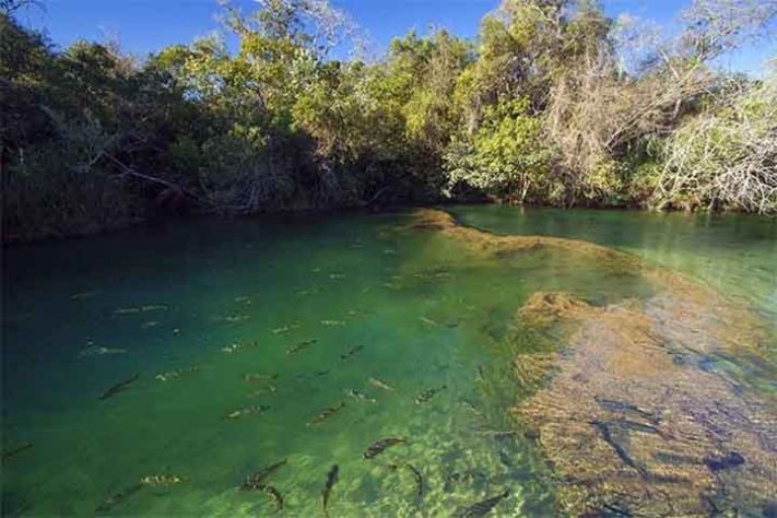 Bonito (MS), destino do ecoturismo