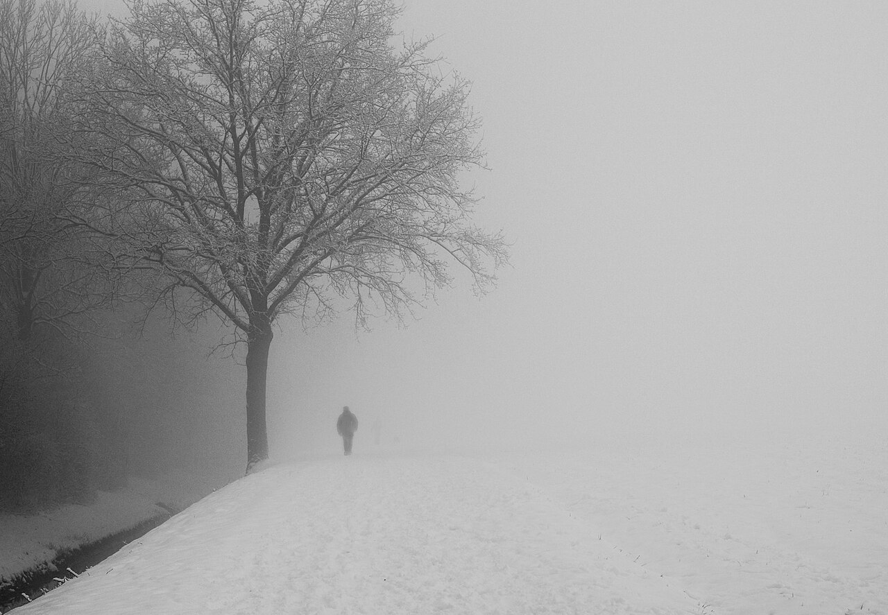 Além da beleza visual, esses fenômenos exigem atenção, principalmente de motoristas. A redução da visibilidade pode aumentar o risco de acidentes, tornando essencial o uso correto de faróis e direção cautelosa.
