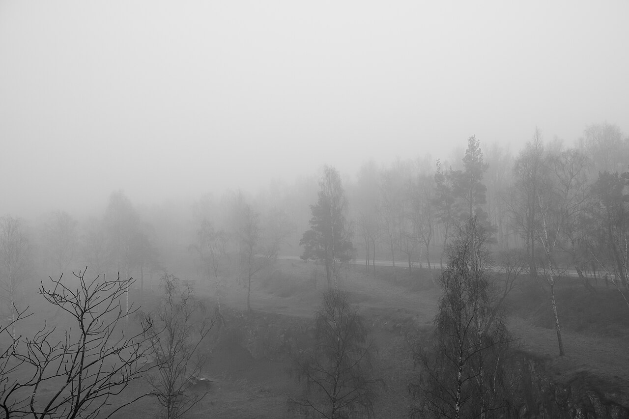 Em resumo, embora pareçam iguais à primeira vista, névoa, neblina e nevoeiro diferem principalmente pela intensidade. Conhecer essas diferenças permite não só apreciar melhor as paisagens, mas também agir com mais segurança diante dessas condições.