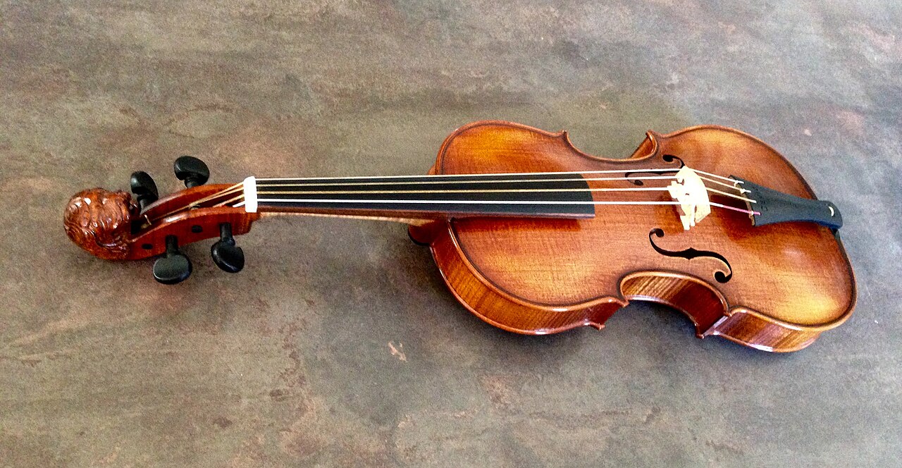 Tradicionalmente, o violino possui quatro cordas afinadas em quintas: Sol, Ré, Lá e Mi. Inicialmente feitas de tripa, hoje podem ser de metal ou materiais sintéticos. Essa evolução ampliou a projeção sonora, permitindo maior adaptação a diferentes estilos musicais.