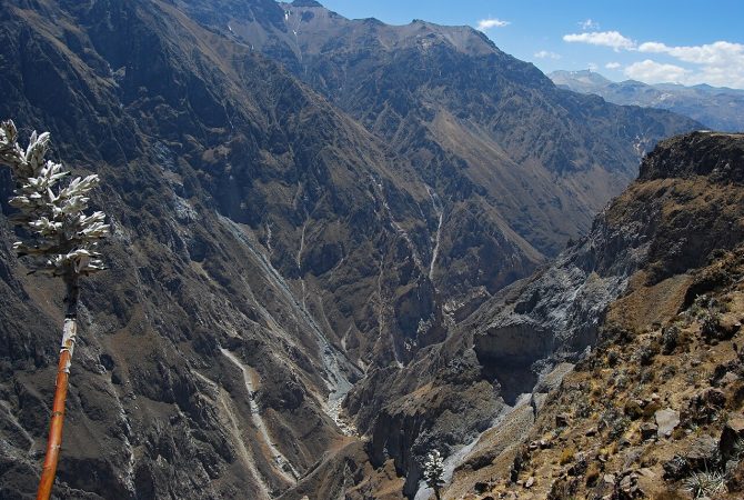 Morada do condor-andino: conheça o Cânion do Colca, o mais profundo do mundo