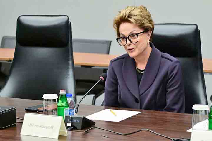 Após sair da prisão, Dilma reconstruiu sua vida no sul do país, estabelecendo-se em Porto Alegre. Formou-se em Economia pela Universidade Federal do Rio Grande do Sul e iniciou uma carreira voltada à gestão pública. 
